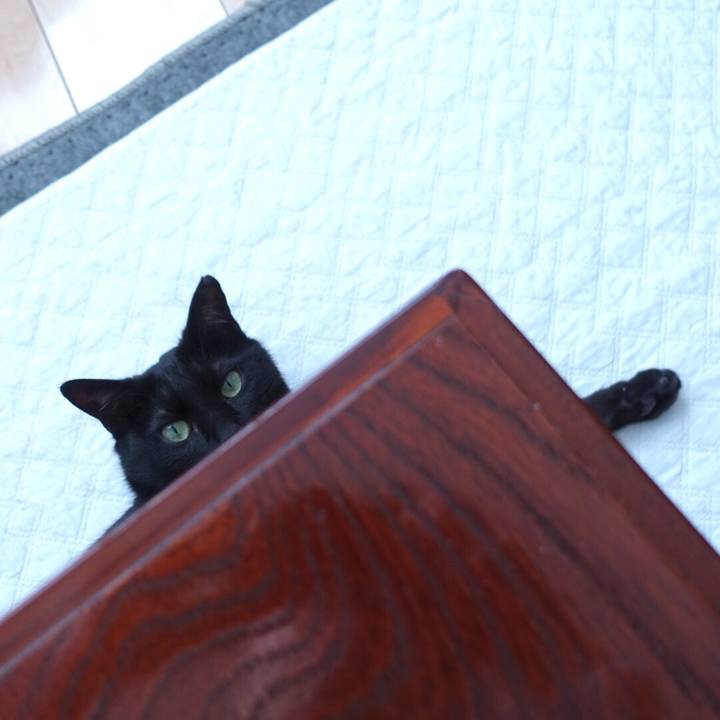 33ce32f7 a72e 42c3 909e 19510cf82faa 1512918345530