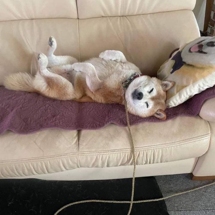 33ce44f3 c0c0 41f5 aff2 4f2eec07ecaf 1724113897959