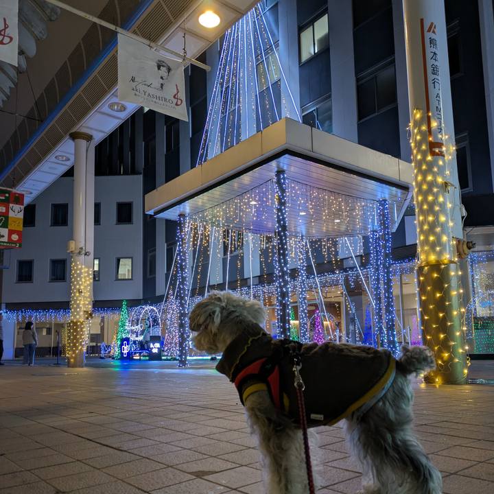 33ce45da 701f 49c6 b28e 4f880849dde0 1765633557247