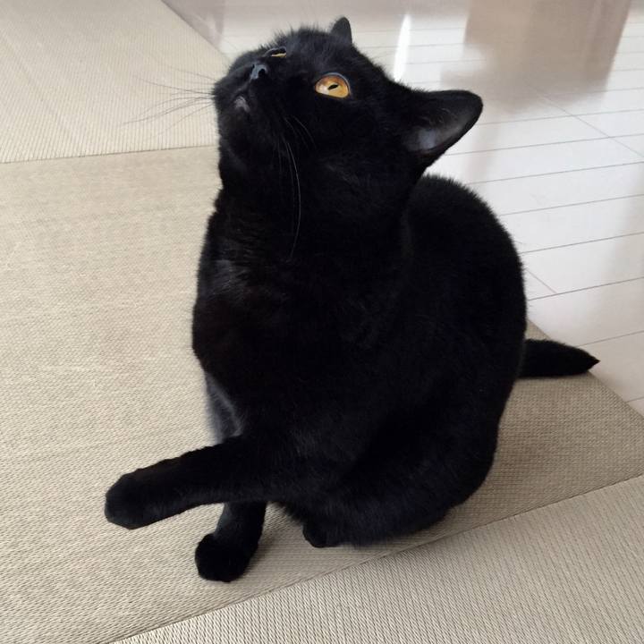 33ce655b c024 4129 ad20 ee9705a38070 1584328912404