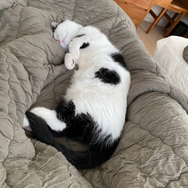 33ce7c89 c738 493b b249 c041872aa14b 1761000504796