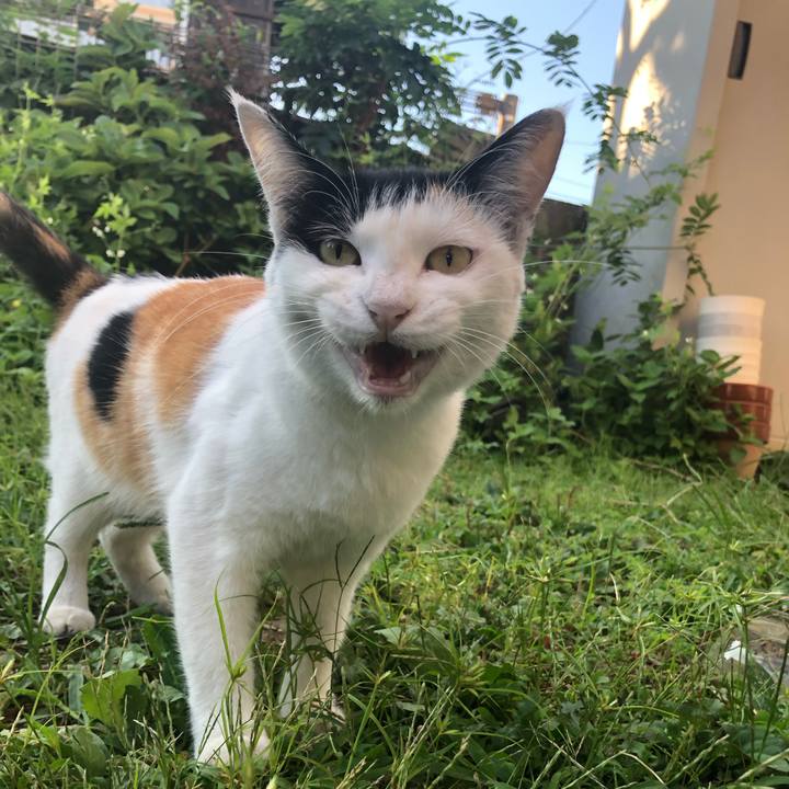 33cf06f6 8342 4630 9b40 de97dd803b72 1598566940660