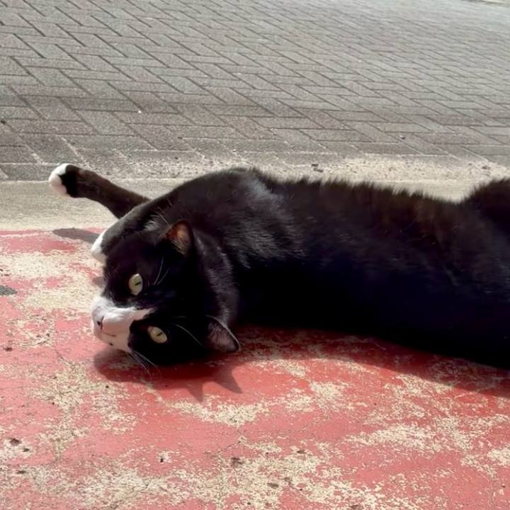 33cf30c8 bdc2 4020 86d6 9c3c9c502aa6 1775444861157