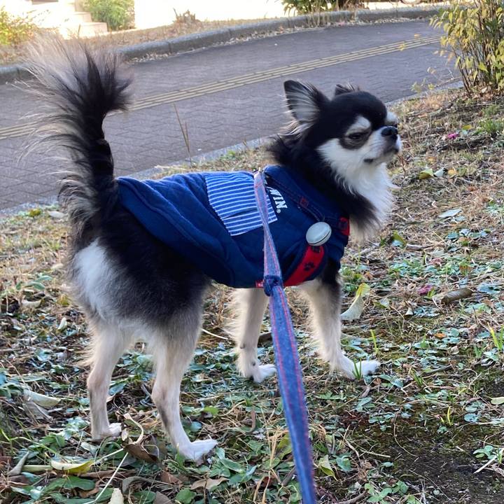 33cf3f26 991b 413c b7af a3d790e69b1e 1703846967374