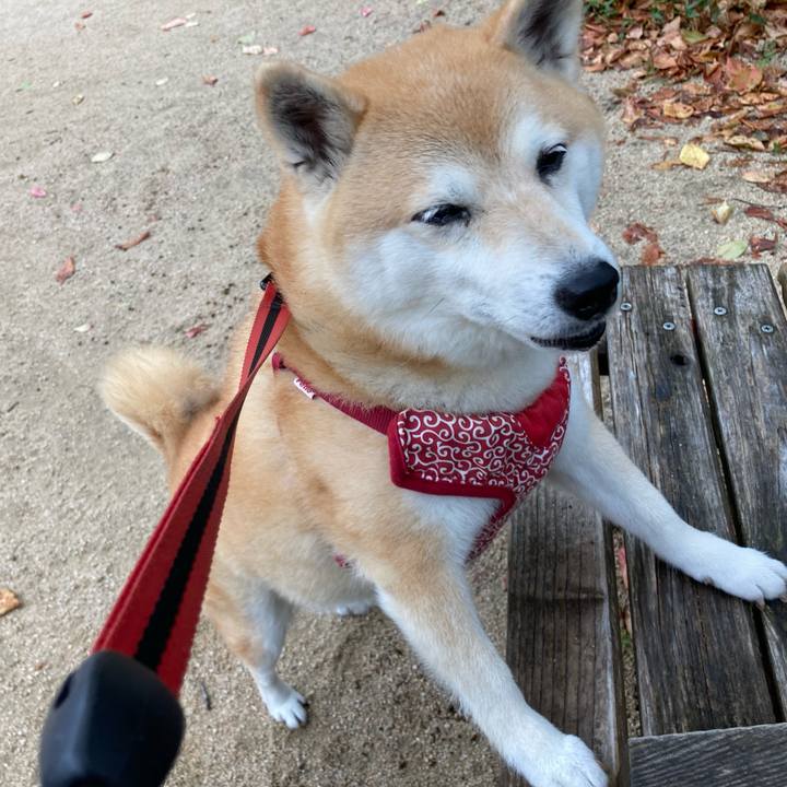 33cf47bc cc08 484a be85 33505011d02f 1628495680299