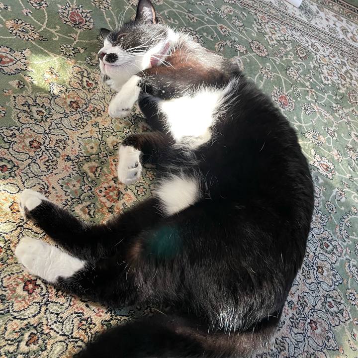 33cf5a51 8a9e 46fd 898d ff74128307e2 1760680772523