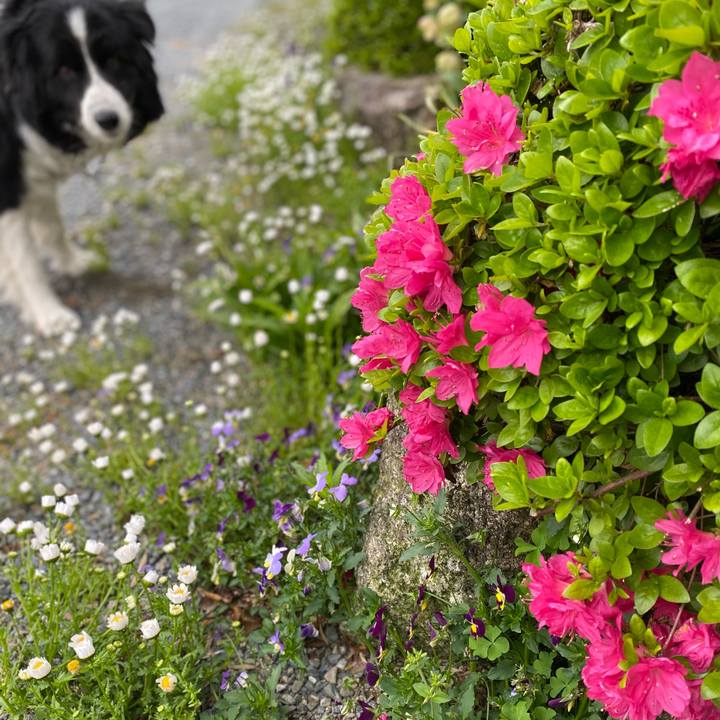 33cf9d34 bed1 4f1e 92bc 5edb348ddaca 1617838318533