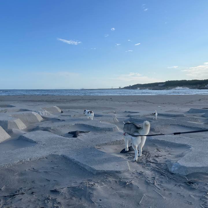 33cfa7a8 1694 4397 8ac7 ca1d05cad96d 1759794371225