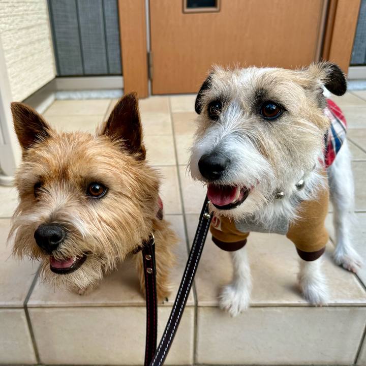 33d02e39 e672 4e6e 926a 2021454ee2fd 1741530018287