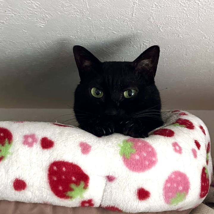 33d034bd 59e7 4030 96ca 401d4fed36f7 1745330691817