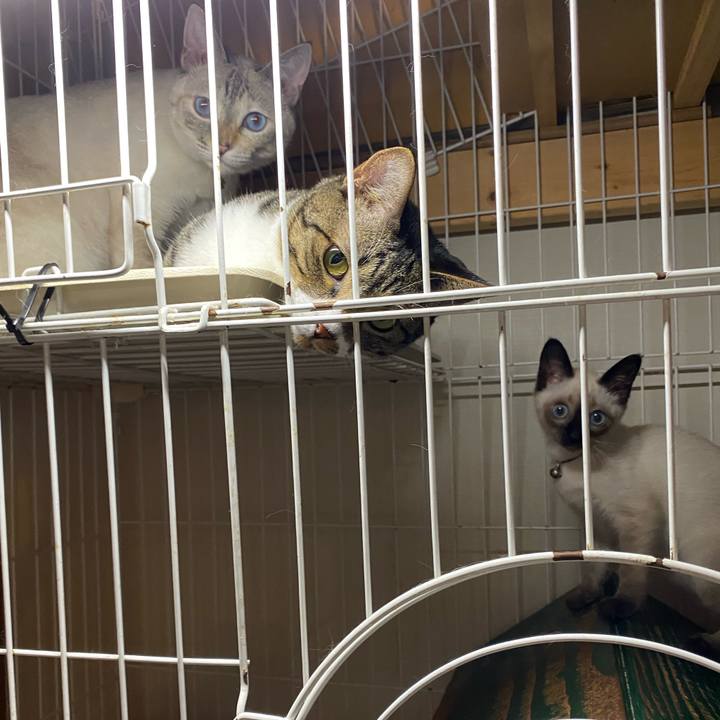 33d047ae a373 4e37 ad97 750daad86442 1689406102274