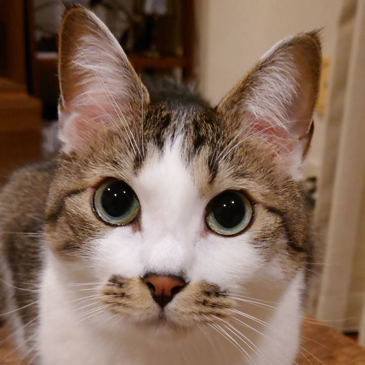 33d07bca 6ae0 45d6 9a2b 81eb4d817a90 1745123574985