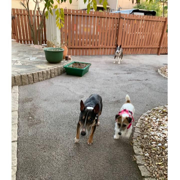 33d094d9 0f92 4597 b14e 8a9b67f640c1 1584015760712