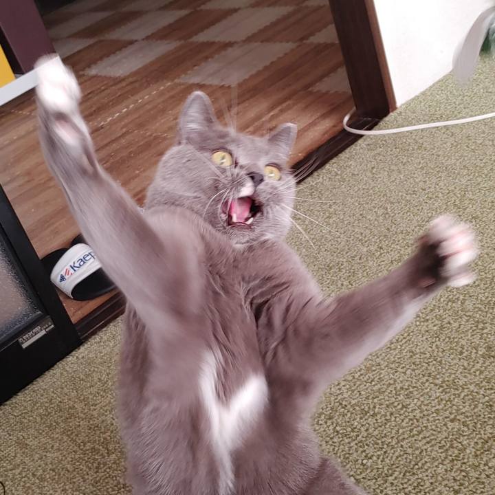 33d0a49c 603b 49fd 9ca6 93cc1b9c19cb 1739579246664