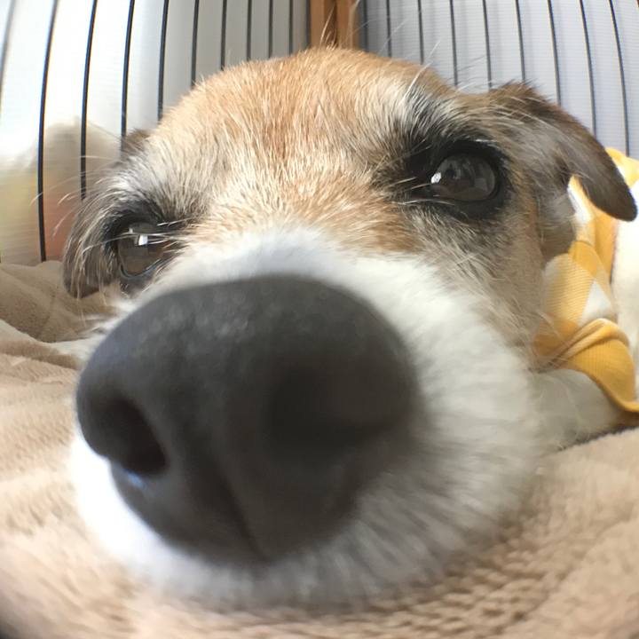 33d0bdcf e66f 4444 a03f 3f3ba055f2f3 1587279700104