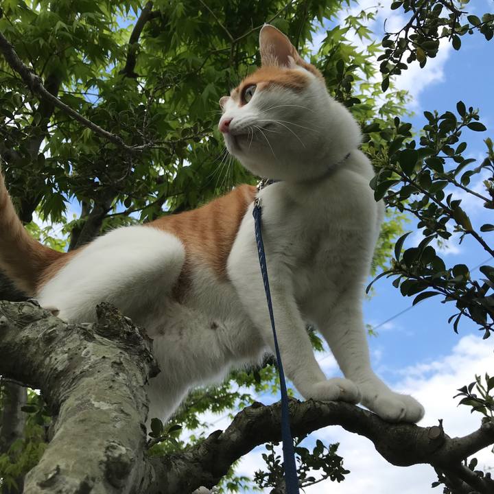 33d0c2cc d992 442b 8a4b 28e9529aedf7 1525416182857