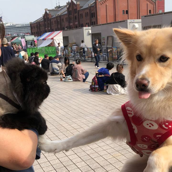 33d0dda9 1cd3 415b aff6 72924a9f5d77 1699179343066