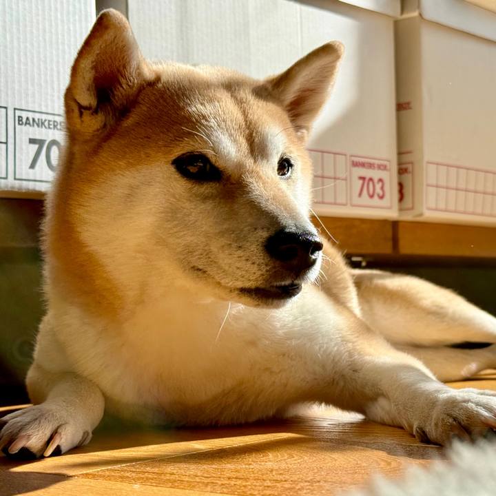 33d10bf5 5978 4477 b183 4e54db843d74 1765766888582