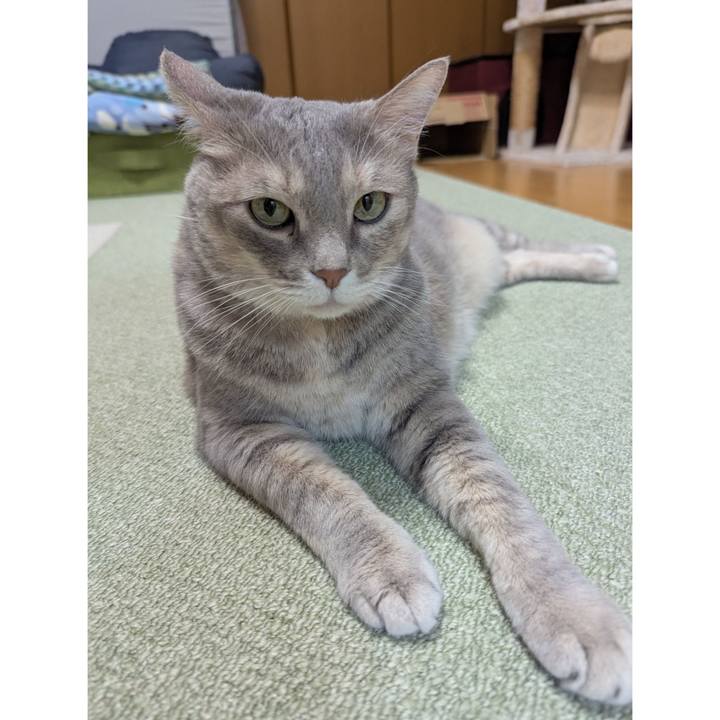 33d11758 57da 4483 91b9 1db37654021d 1758181907576