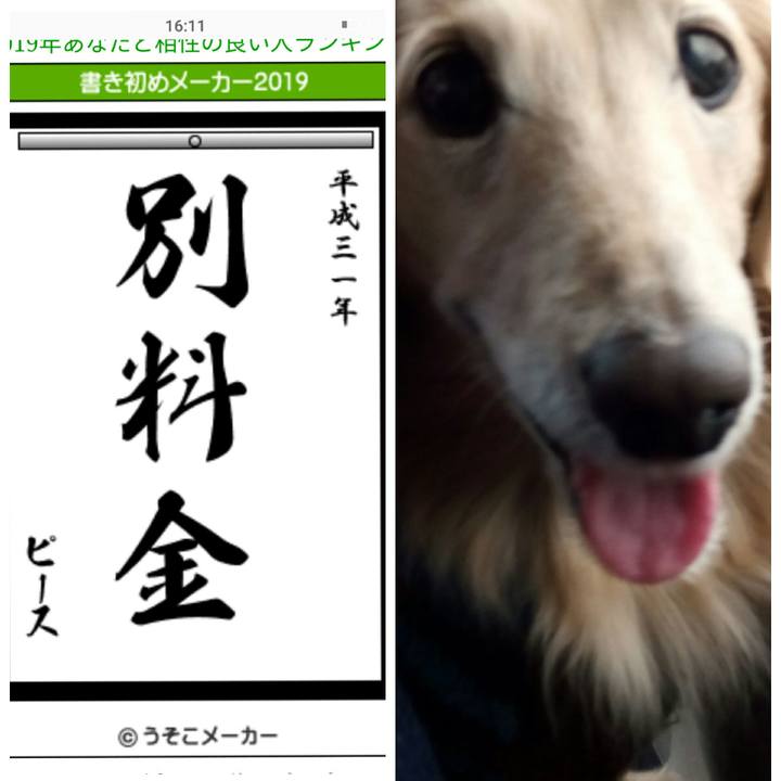 33d175ca 0623 40b6 a75e ed3e4e8273c2 1546502884893