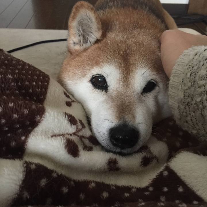 33d1997c 6e2e 4499 89b8 e3ccbc14650a 1519523755058