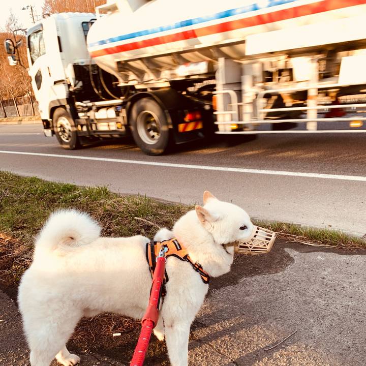 33d1aaa8 b88b 4d07 b92a 3346225932f0 1649884443499