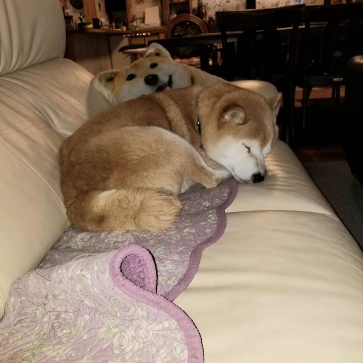 33d1d307 bd94 4fbc 9b8e 3f59f341abf9 1639175721312