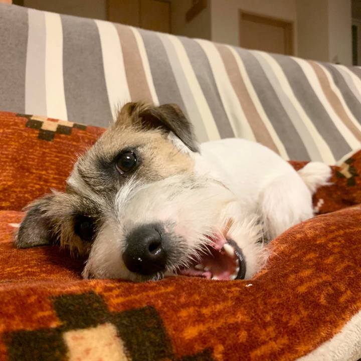 33d1d878 63e7 4f0d 9bc9 379aeb83a363 1573411843132