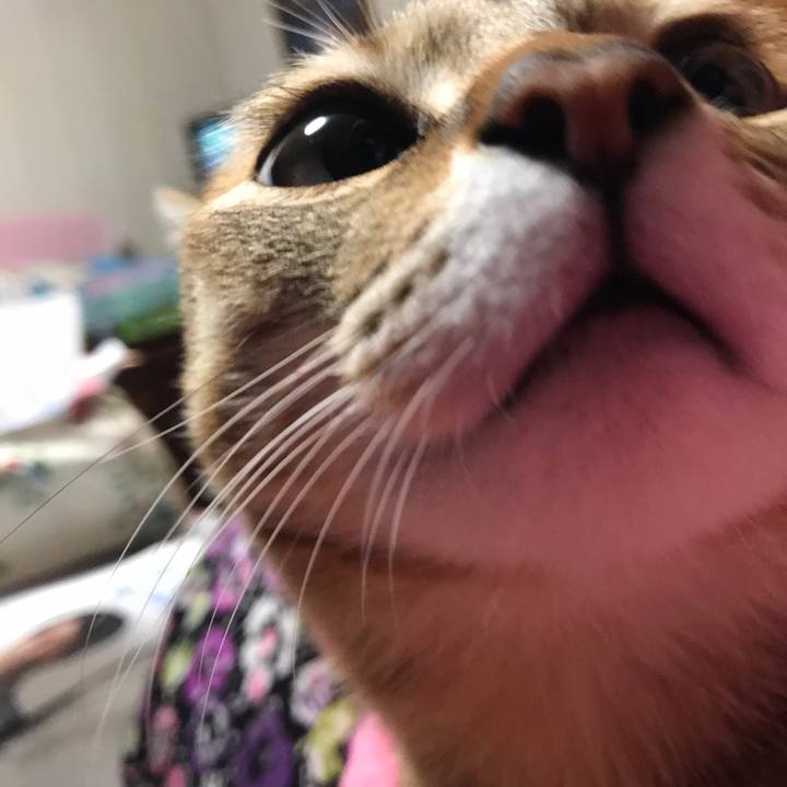 33d1f048 5ea6 44b4 bbf0 6569abe0f09d 1508671889895