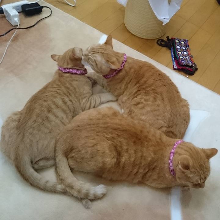 33d1fc51 214a 4580 a8ed 60e8bfa691a4 1580294251364