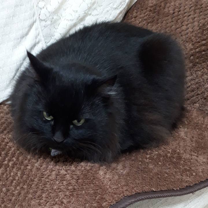 33d22804 75a2 4212 8584 5cbe4e433e1b 1522013433277