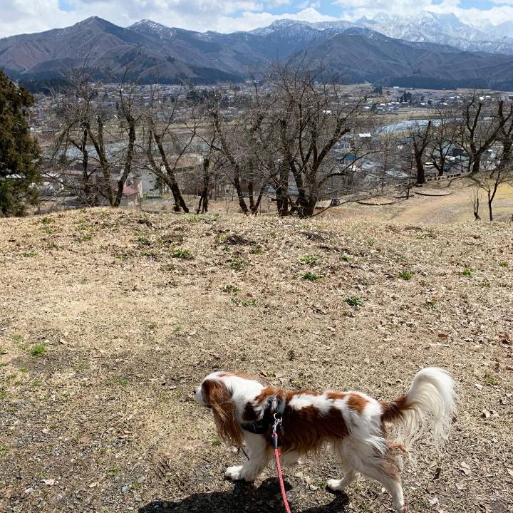 33d2282c 8e93 4233 a3c7 9d7cd707004a 1584239640454