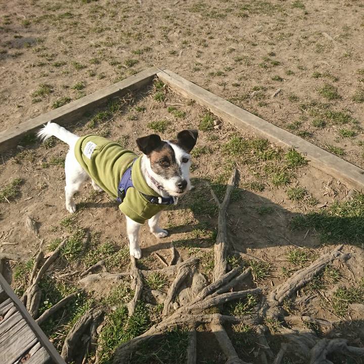 33d24175 2273 4f4a 9fab 7737d141b0a5 1519709876936