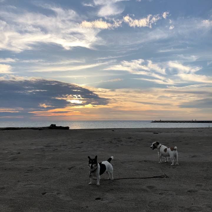 33d27672 9c59 47f9 b93f 1bfdd0ba1bad 1537006253202