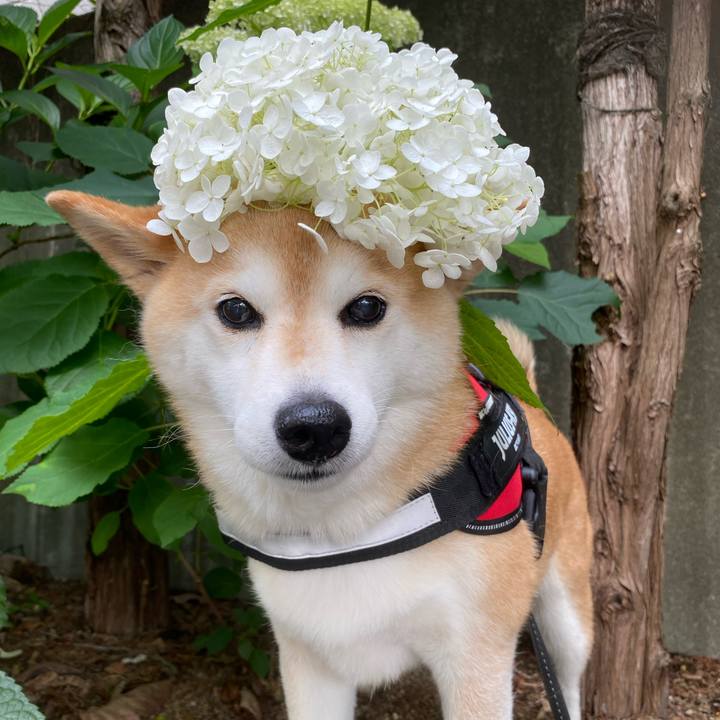 33d27fee 2ed8 46d4 8815 f3ed73b81b0b 1686919398634