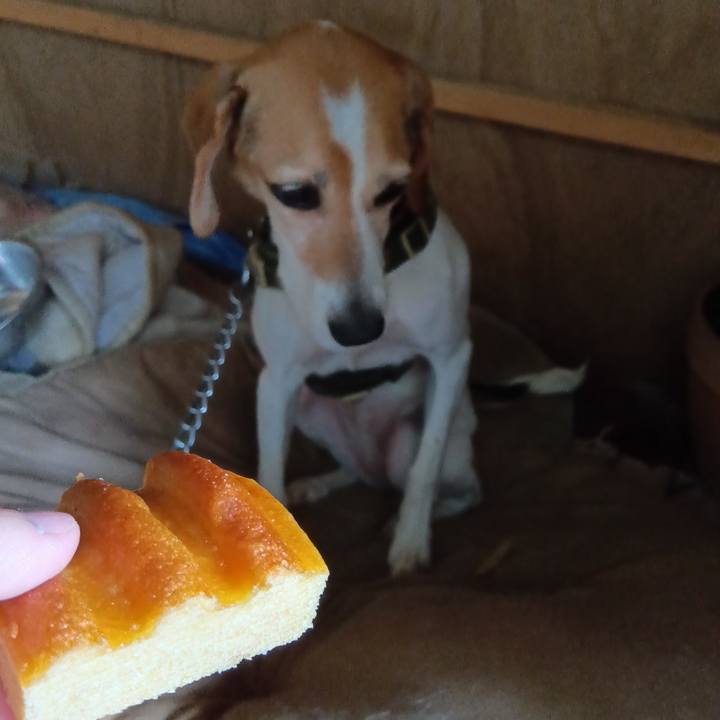 33d2b300 bccf 4ae1 8a86 ccd9adef95ad 1719313423276