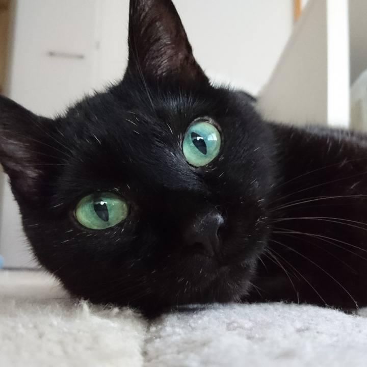 33d2d23e 8293 4637 9978 be1cc13968a9 1534502084117