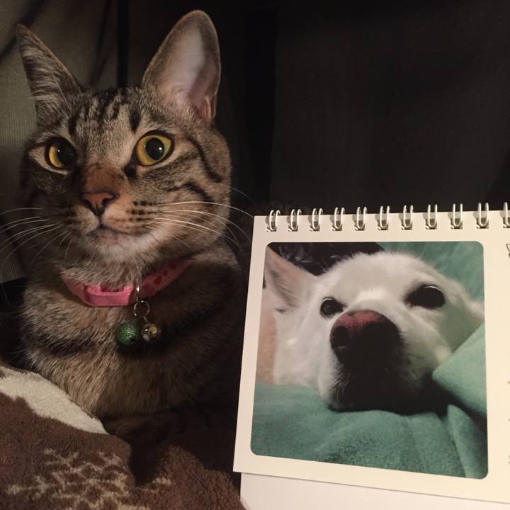 33d2d9b3 82eb 468f 881c 7bd7e9527626 1512211246205