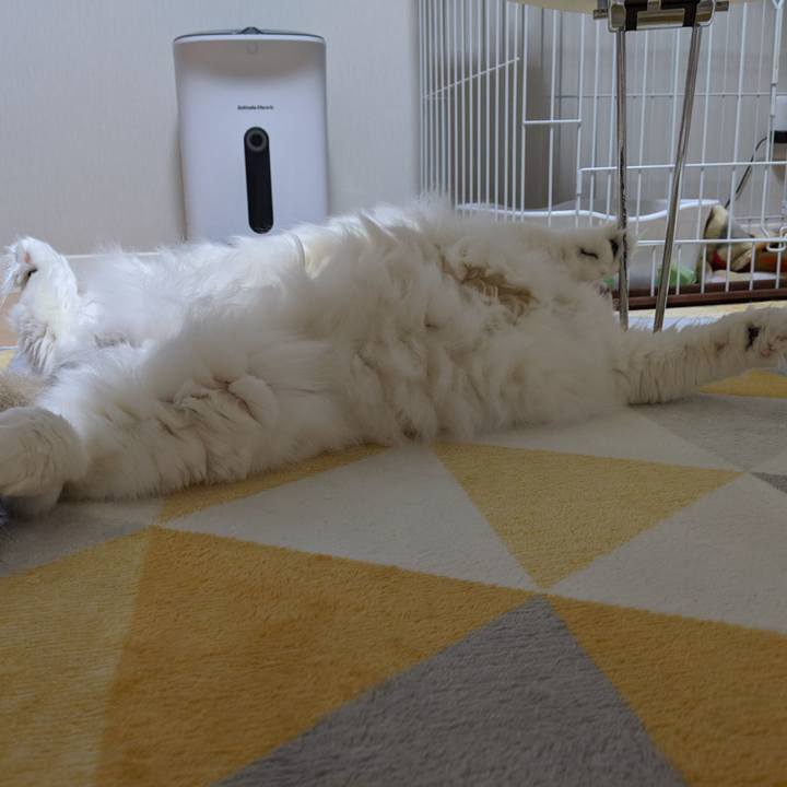 33d2f02e 8365 4f6f 96a2 1358912859fe 1566211596246