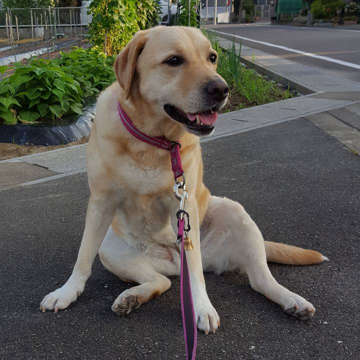 33d357c1 ce37 4124 ba4b 49b0f692c71e 1531276210423