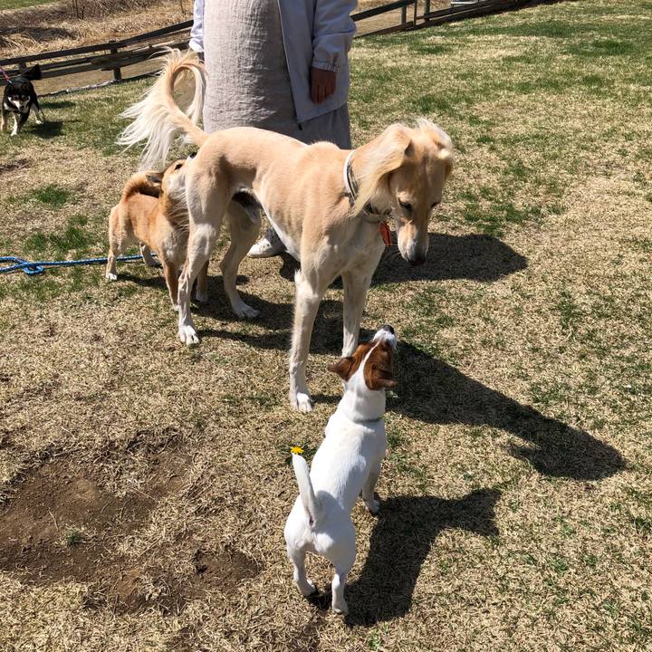 33d377ff 1267 45a1 8557 472ed25b3357 1523602877962