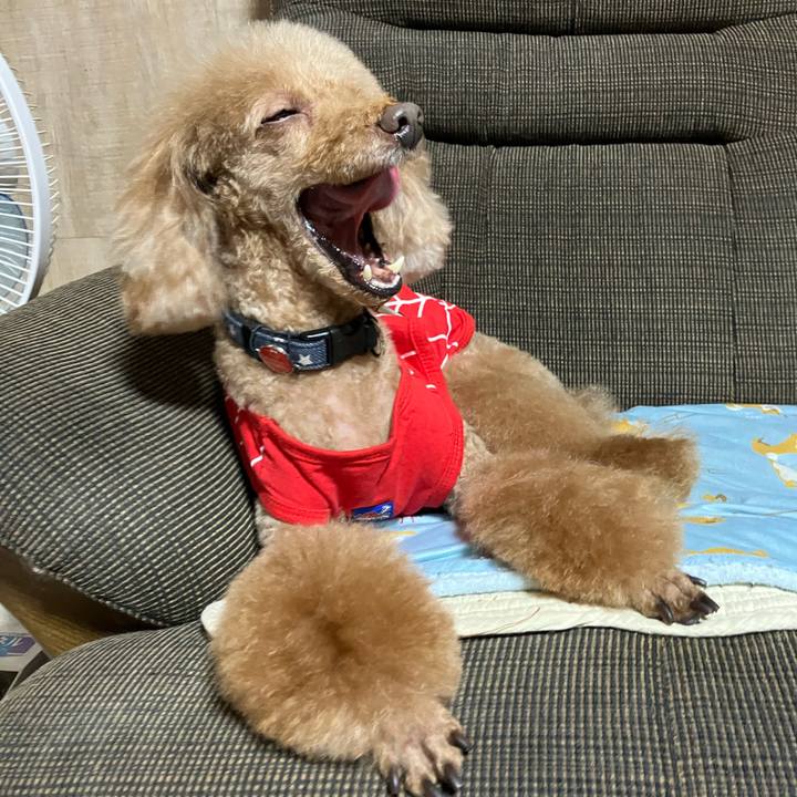 33d3ccf2 cfca 4d80 bc97 3862446ebfe9 1703063594504