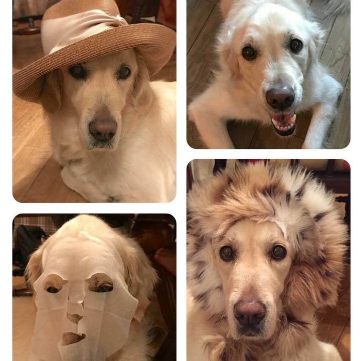 33d4027f 5516 4e6d bb2b cc3a5a72a916 1542363815268