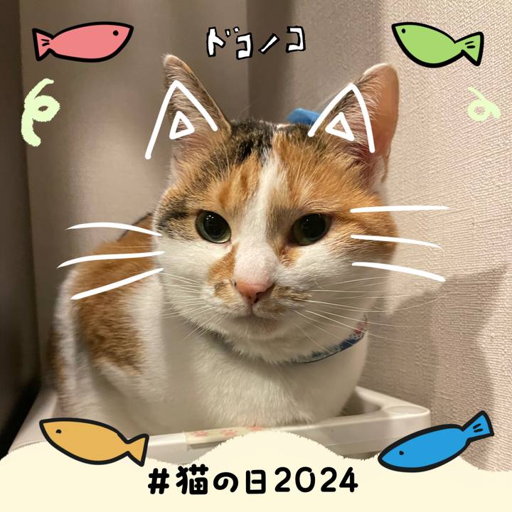 33d4198f ddf0 4f5d a8c1 06a02924c65f 1708595539031