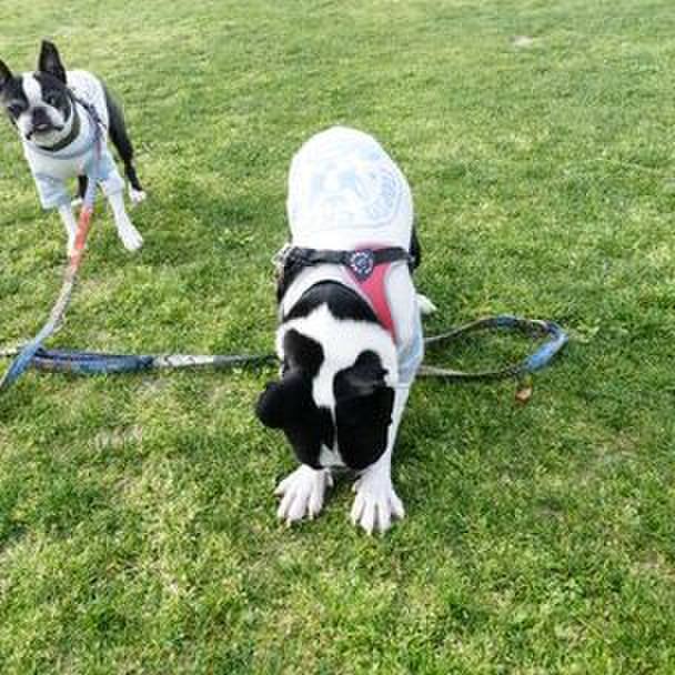 33d48459 2605 40a2 8c7c 14c8e468443f 1522728485471