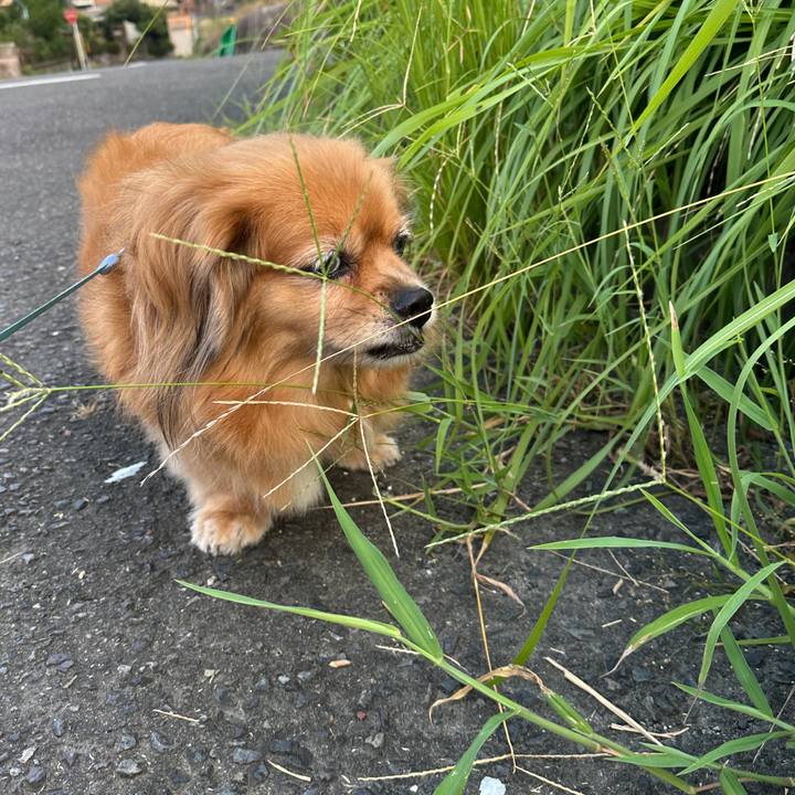 33d4b0cc 464d 40ff 8a45 a6dcc572cb62 1756243195199