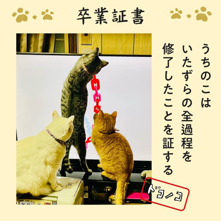 33d4b95c 9acf 4d27 bee9 60cf9c97b338 1771848340271