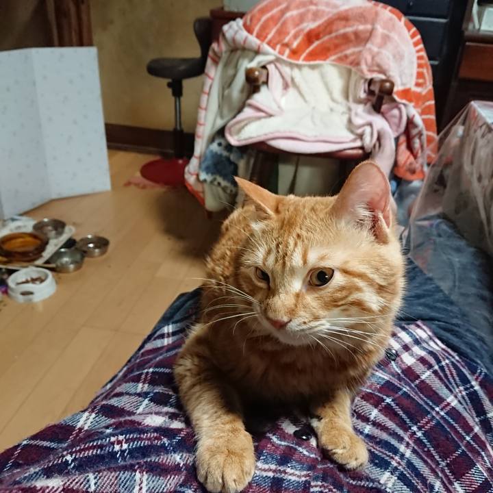 33d5213a d8f7 47eb b608 5a8144ba7d97 1643625008873