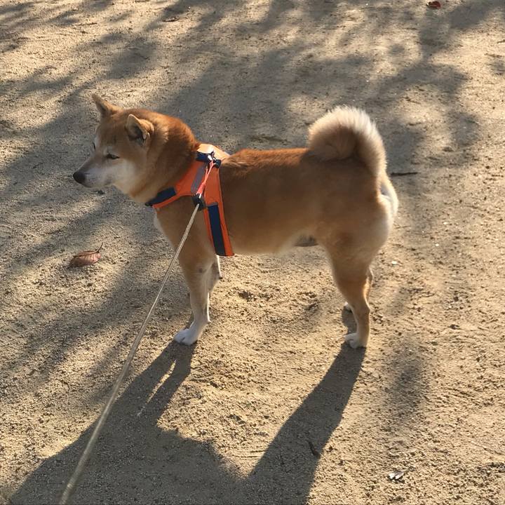 33d52f05 a455 4def 98b4 320f67ef220e 1542023157236