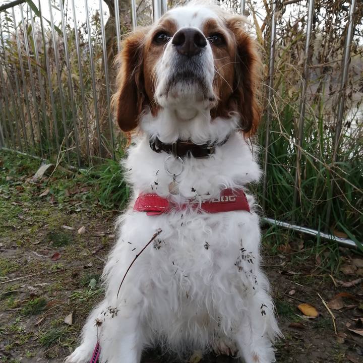 33d5338a 0988 47ca 9e83 b12b8d406a8d 1607648682241